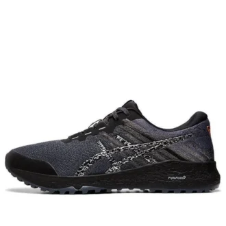 Alpine XT 2 „Carrier Grey Silver”