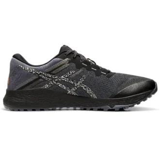 Alpine XT 2 „Carrier Grey Silver”