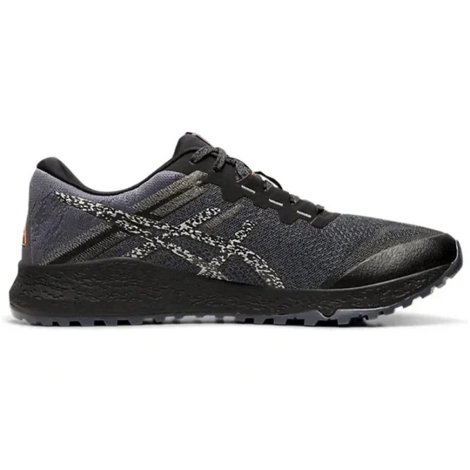Alpine XT 2 „Carrier Grey Silver”