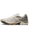 Asics x DIME GT-2160 „Arctic Wolf”