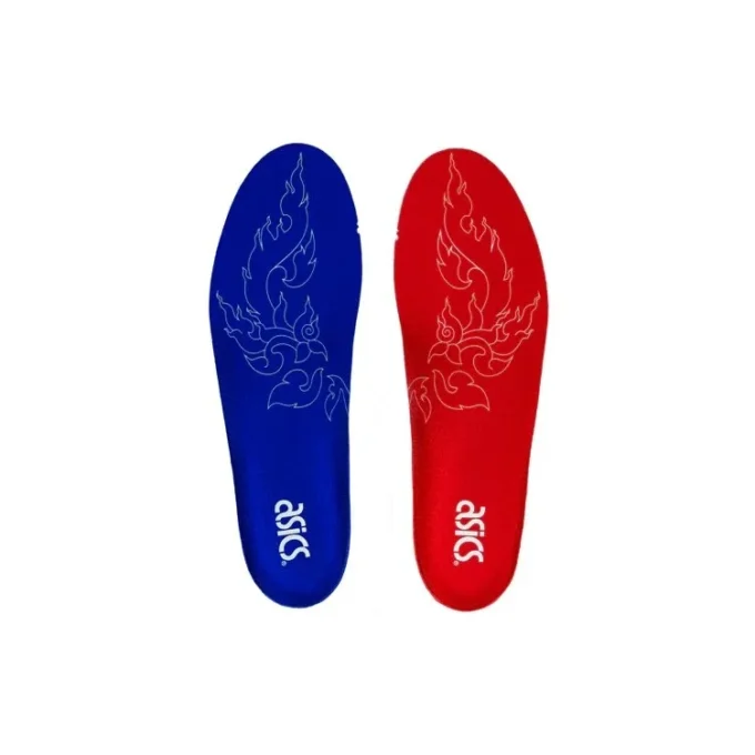 Carnival x GEL DS OG „Muay Thai”