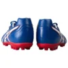 DS Light AG „Blue Red”