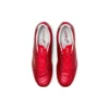 DS Light X-Fly Pro „Classic Red Beet Juice”