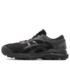 Gel-Kayano 25 „Negru”