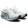 GEL Nimbu 24 „Light Steel White”
