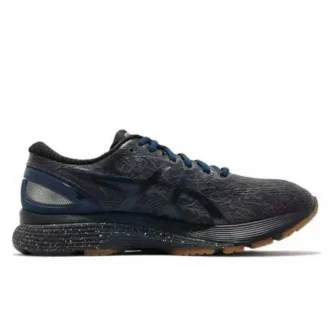 Gel-Nimbus 21 Winterized „Graphite Grey”