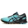 Gel-Nimbus 21 „Winterized – Ice Mint”