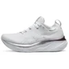 Gel-Nimbus 26 Platinum „Real White Pure Silver”