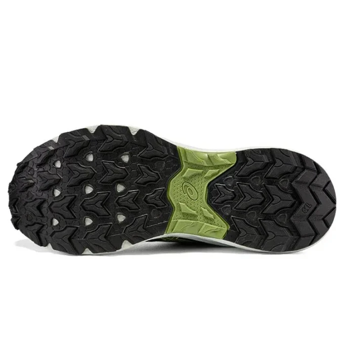 GEL-Venture 9 „Rain Forest Cactus”