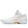 Gelhoop V12 „White”