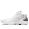 Gelhoop V14 „White Silver”