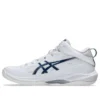 Gelhoop V17 S „White Mako Blue”