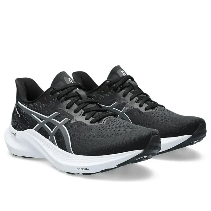GT-2000 12 „Black Carrier Grey”
