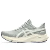 GT-2000 13 ATC „Seal Grey Brich”