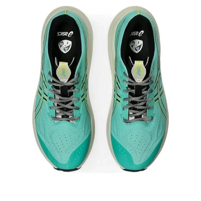 GT-2000 14 TR „Aurora Green Cacti”