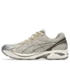 GT-2160 „Feather Grey Brown Storm”