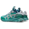 HS1-S Tarther Blast „Misty Pine”
