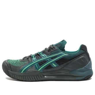 HS5-S GEL-Resolution SPS „Gri-Verde”